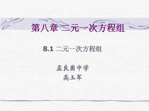 8.1 二元一次方程组
