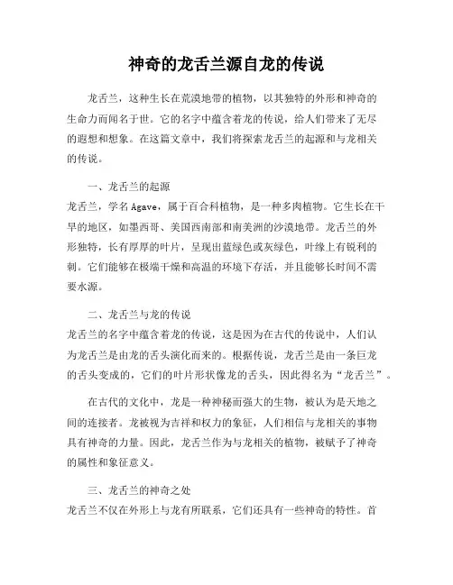 神奇的龙舌兰源自龙的传说