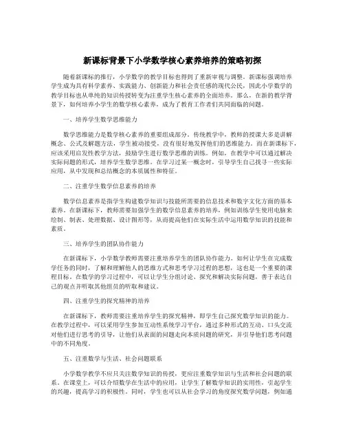 新课标背景下小学数学核心素养培养的策略初探