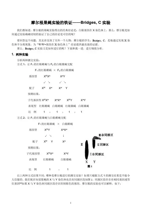 摩尔根果蝇实验的铁证——Bridges, C实验,邓过房