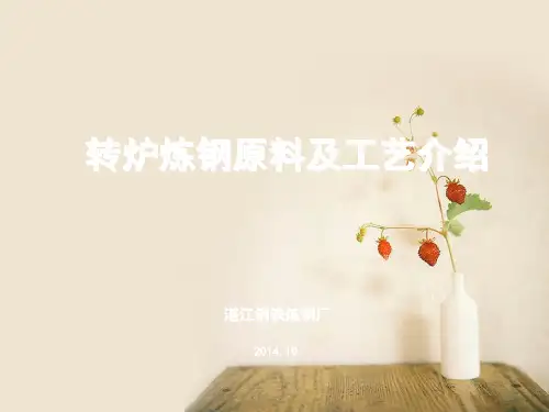 转炉炼钢原理及工艺介绍