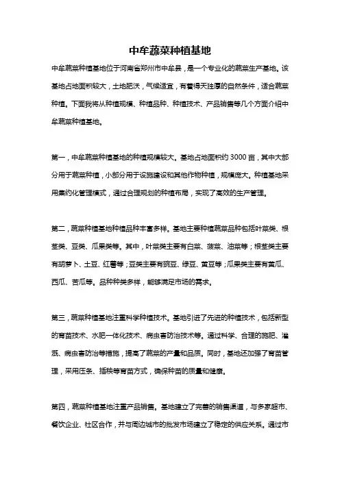 中牟蔬菜种植基地