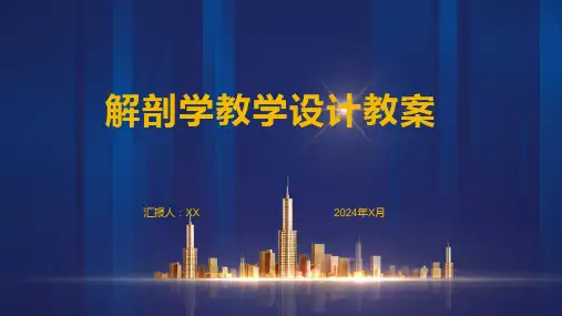 解剖学教学设计教案1