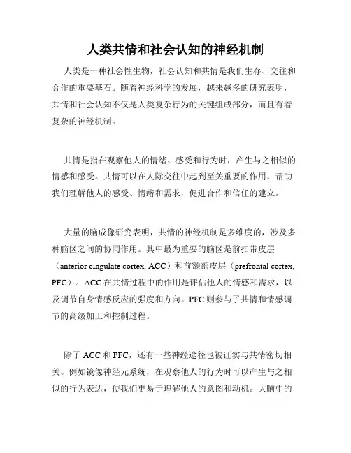 人类共情和社会认知的神经机制