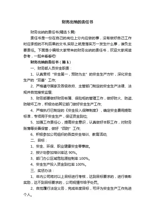 财务出纳的责任书