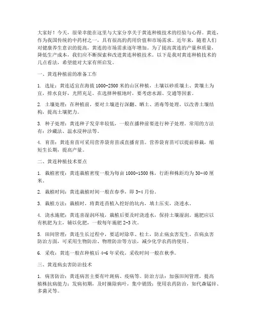 黄连种植技术交流发言稿