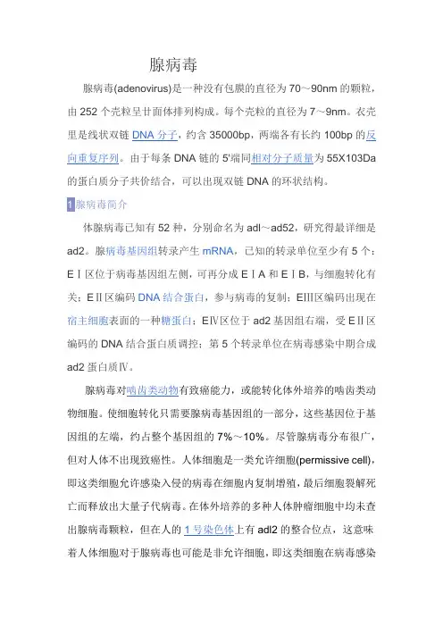 腺病毒简介