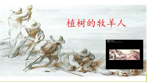 第13课《植树的牧羊人》课件(共35张PPT)2023—2024学年统编版语文七年级上册