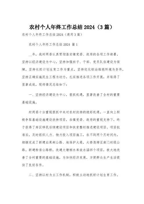 农村个人年终工作总结2024(3篇)