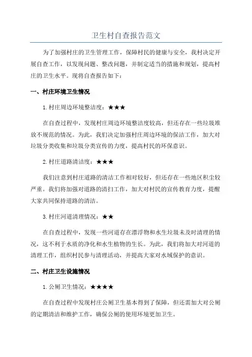 卫生村自查报告范文