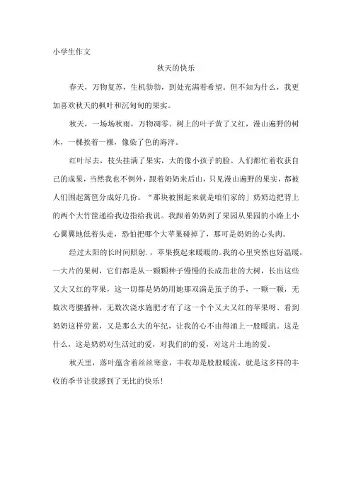 小学生习作《秋天的快乐》例文
