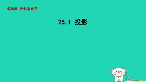 2024春九年级数学下册第25章投影与视图25.1投影课件新版沪科版