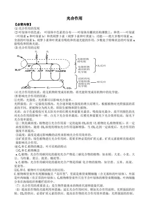 人教版高中生物选修光合作用