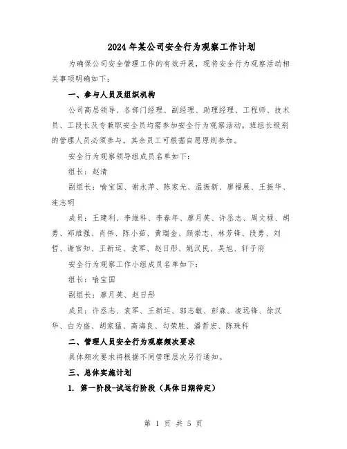 2024年某公司安全行为观察工作计划（二篇）