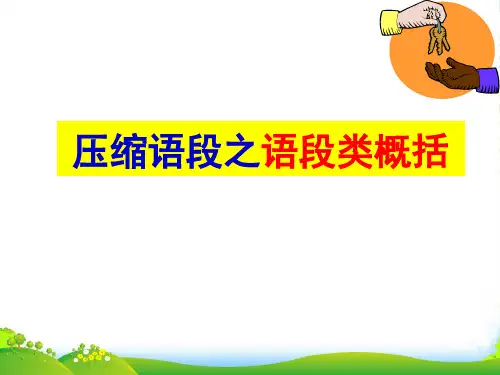 高考语文专题复习 压缩语段之语段类概括课件