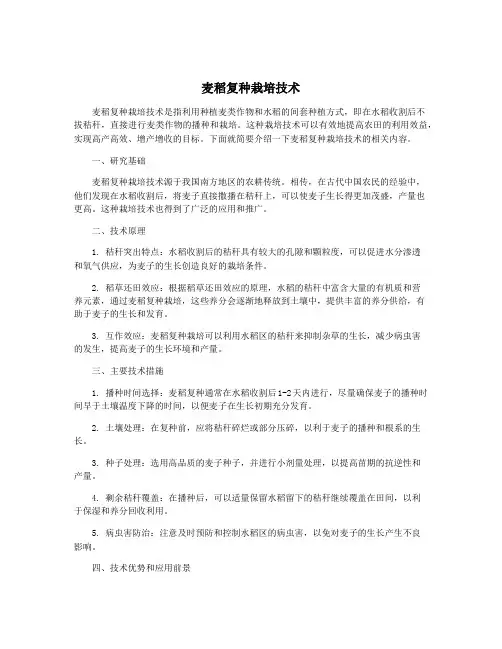 麦稻复种栽培技术