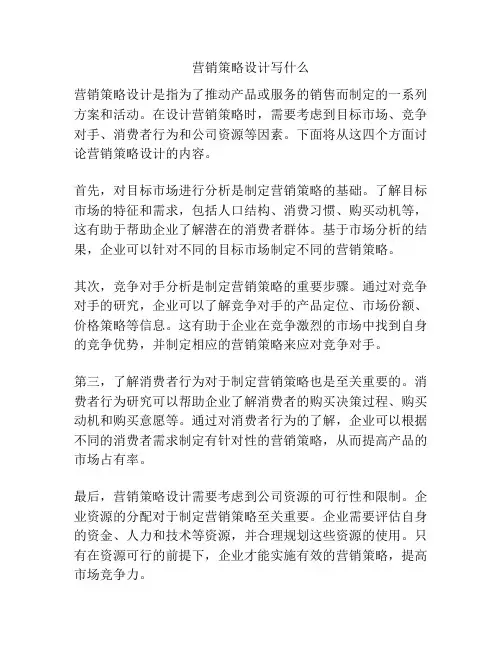 营销策略设计写什么