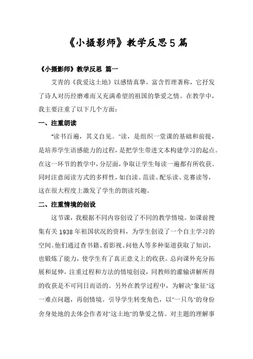 《小摄影师》教学反思5篇