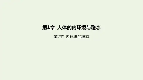 新教材高中生物人体的内环境与稳态第2节内环境的稳态课件新人教版选择性必修第一册