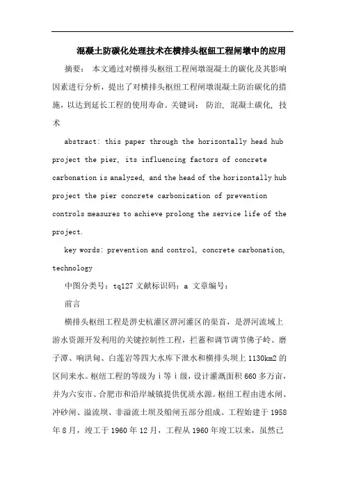 混凝土防碳化处理技术在横排头枢纽工程闸墩中应用论文