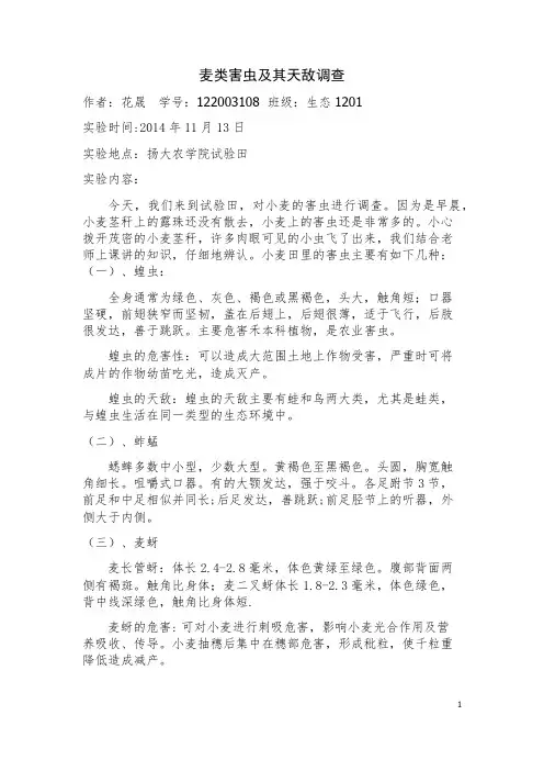 小麦害虫调查报告