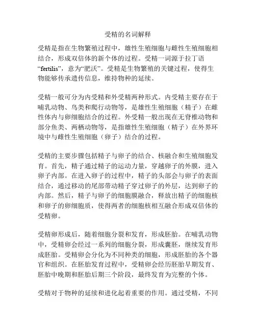 受精的名词解释