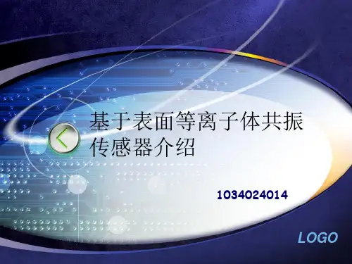 表面等离子体共振PPT课件