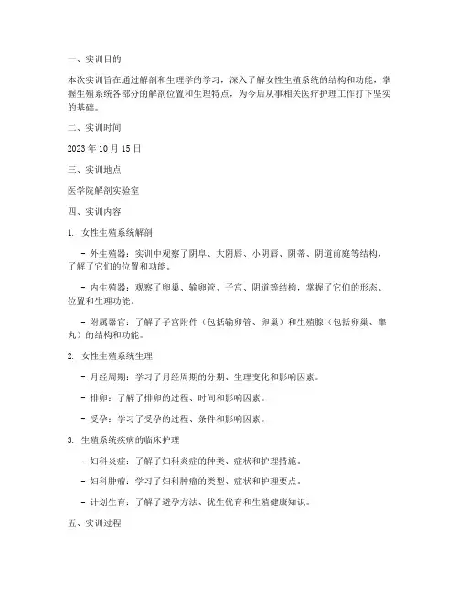 生殖系统实训报告