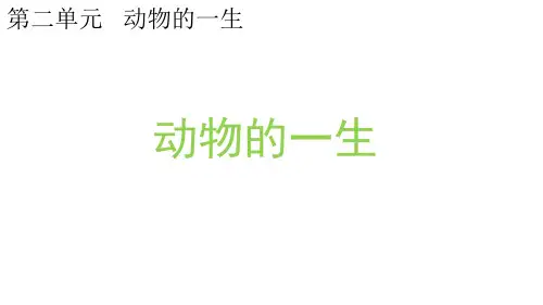 教科版小学科学最新三年级下册科学2.8动物的一生