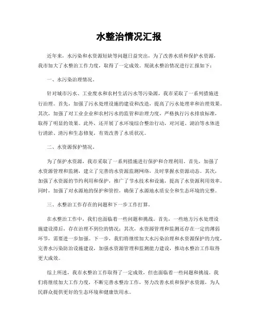 水整治情况汇报