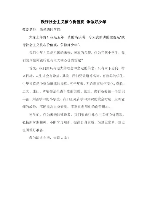 践行社会主义核心价值观 争做好少年