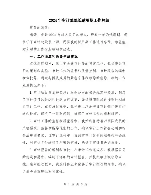 2024年审计处处长试用期工作总结
