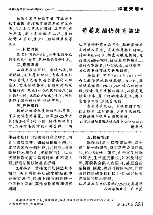 葡萄夏插快捷育苗法