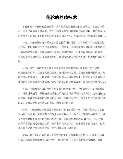 羊驼的养殖技术