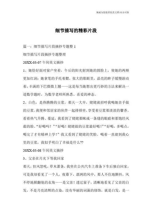 细节描写的精彩片段