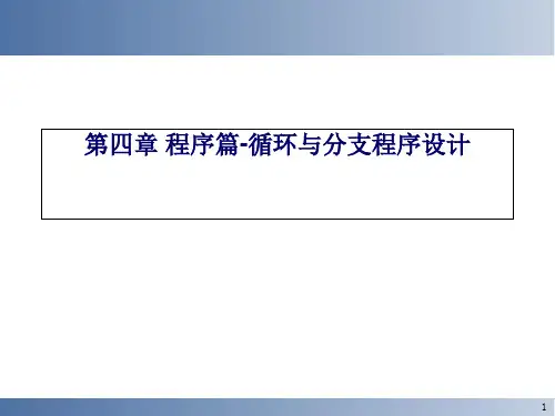 程序篇-循环与分支程序设计