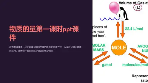 物质的量第一课时课件