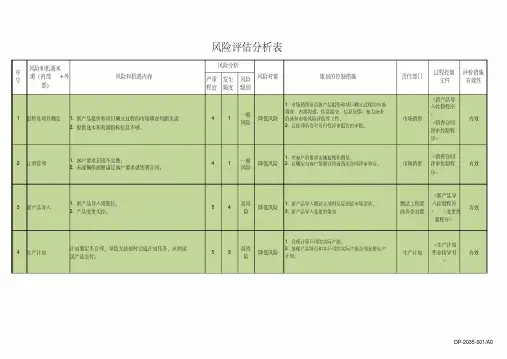 风险评估分析表