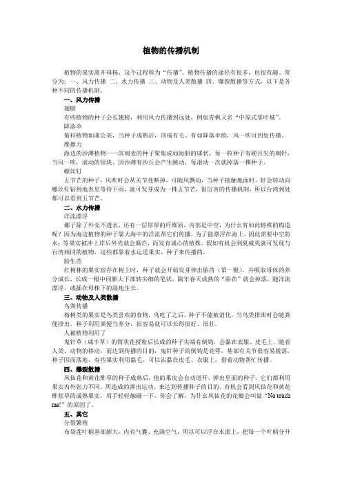 植物的传播机制