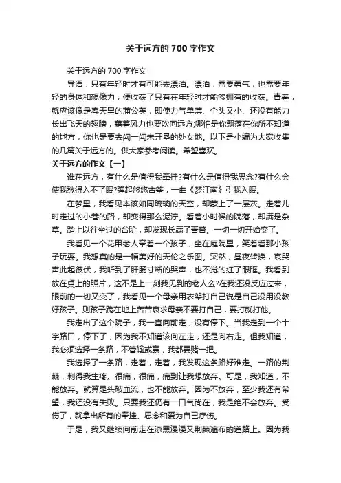 关于远方的700字作文