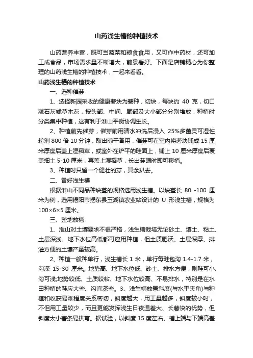 山药浅生槽的种植技术