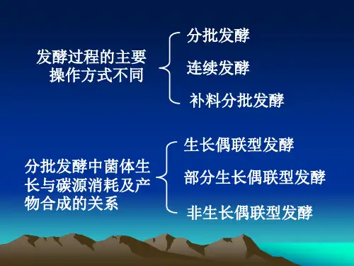 发酵动力学