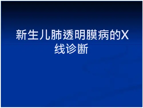 国家学生体质健康标准登记卡 