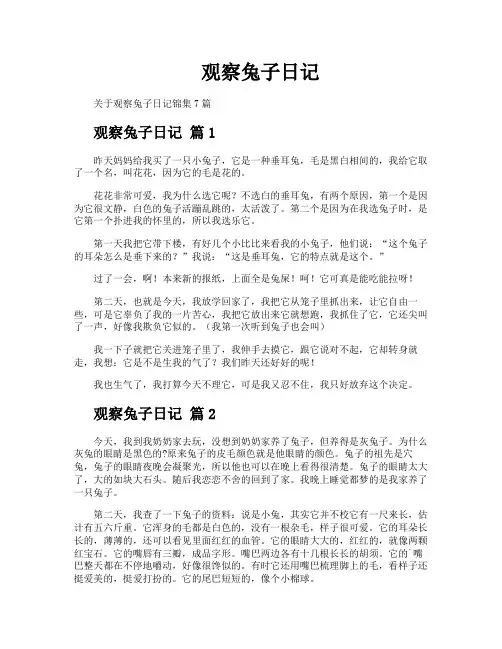 观察兔子日记