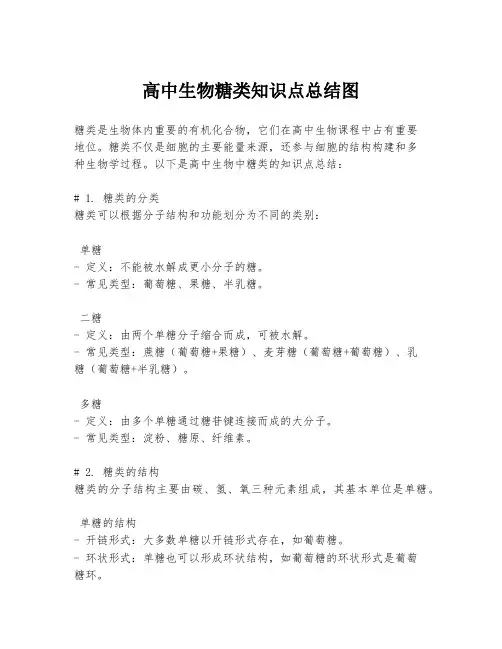 高中生物糖类知识点总结图