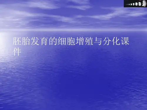胚胎发育的细胞增殖与分化PPT讲稿