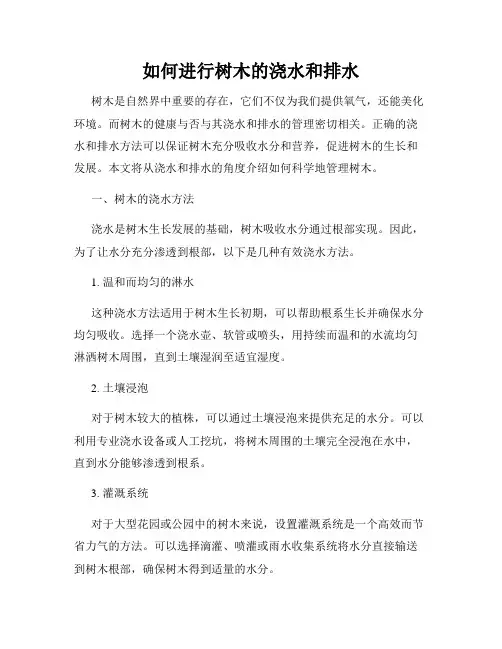 如何进行树木的浇水和排水