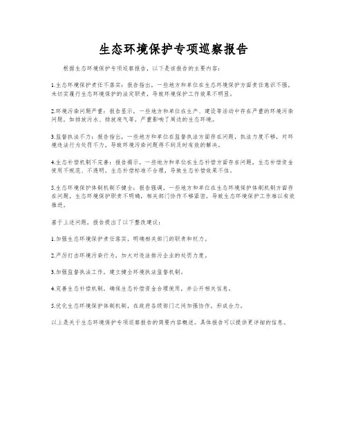 生态环境保护专项巡察报告