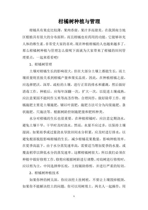 柑橘树种植与管理