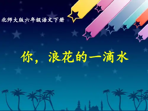 最新北师大版小学六年级语文下册《你_浪花的一滴水》精品ppt课件